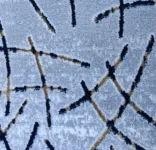 رمادي خ ازرق غامق