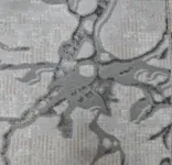 رصاصي