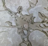 بيج